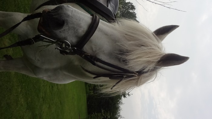 Photo de profil de mdorchie