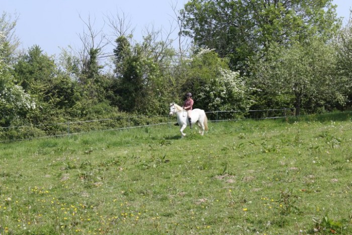 Photo de profil de shannon1998