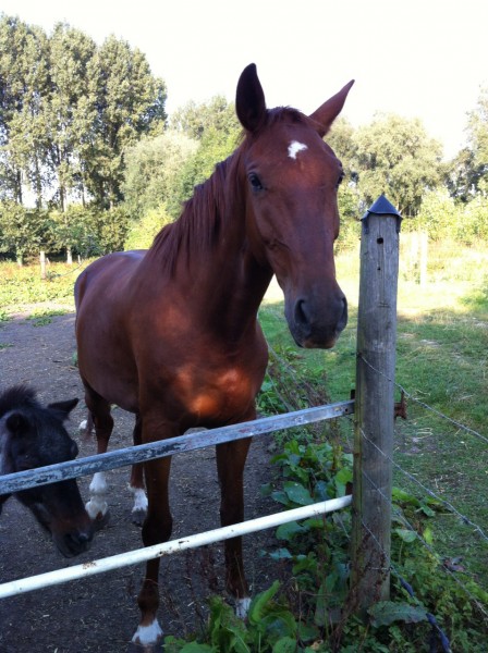 Photo de profil de lenoue59