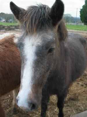 Photo de profil de nanasalsa