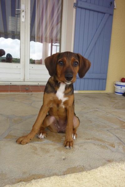 Photo de profil de anais13