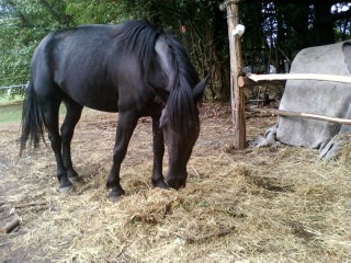 Photo de profil de ulysse38330