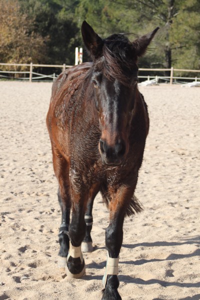 Photo de profil de sheina83