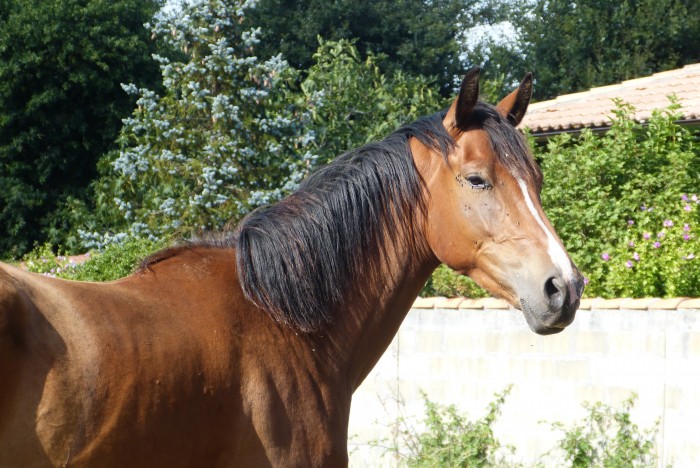 Photo de profil de venga