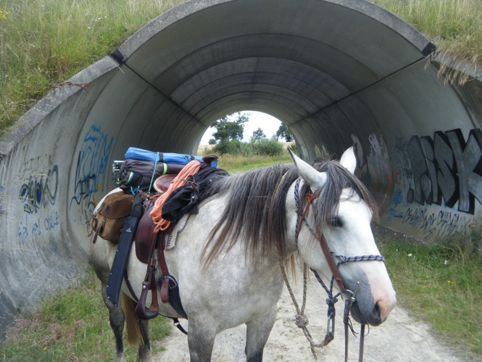 Photo de profil de cowboy036