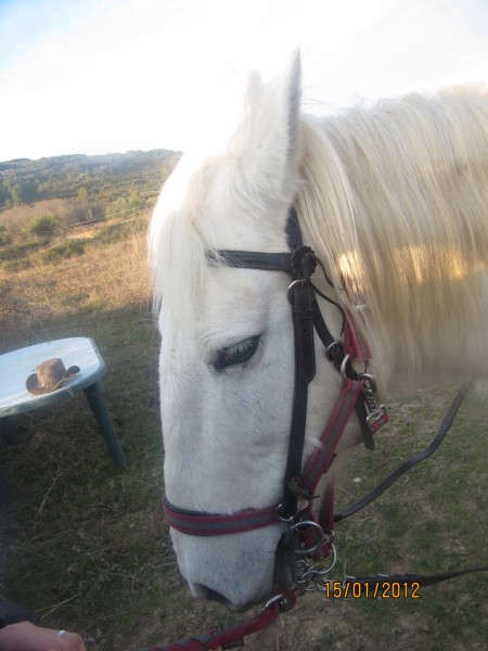 Photo de profil de franck9117