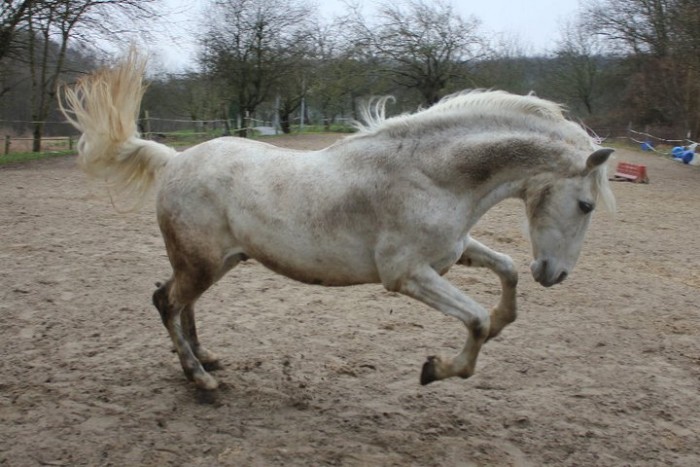 Photo de profil de michelanthony