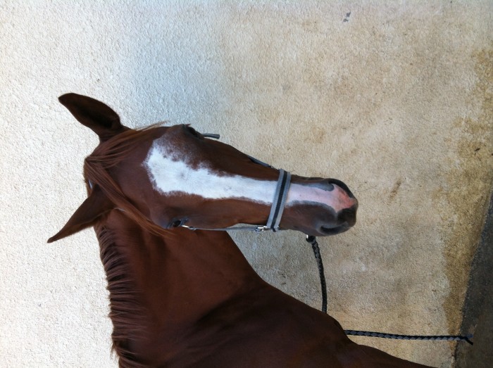 Photo de profil de mariontiti