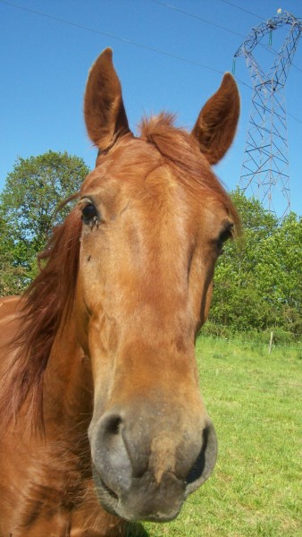 Photo de profil de nath56