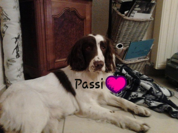 Photo de profil de marjolenek7