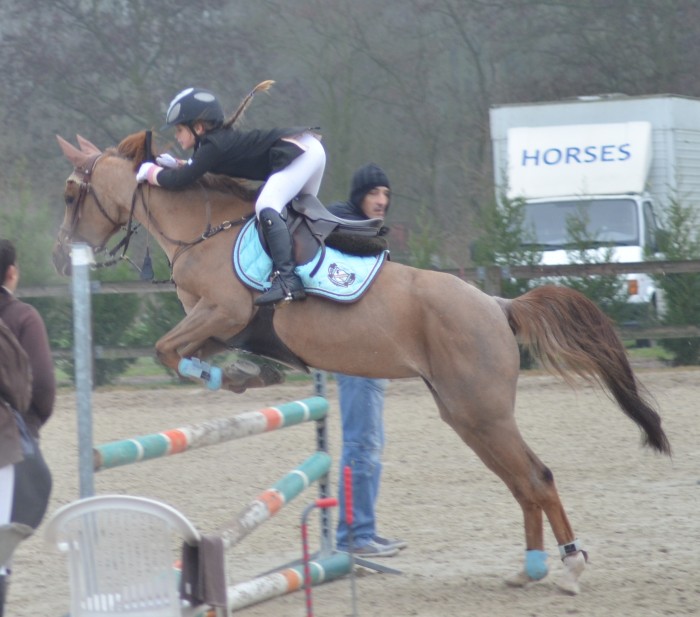 Photo de profil de springer