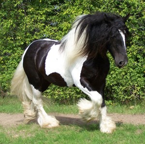 Photo de profil de lenamaya