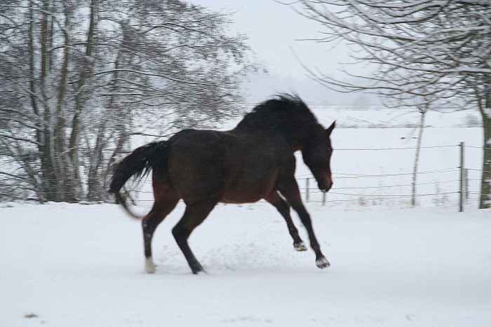Photo de profil de flo642