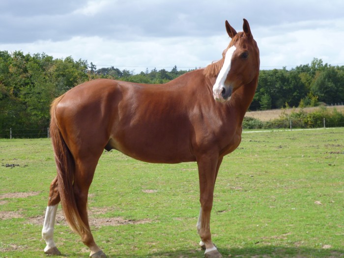 Photo de profil de dupmat