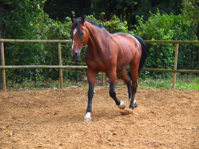 Photo de profil de leaetgalien