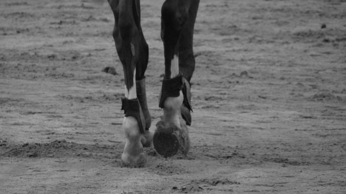 Photo de profil de reussite56