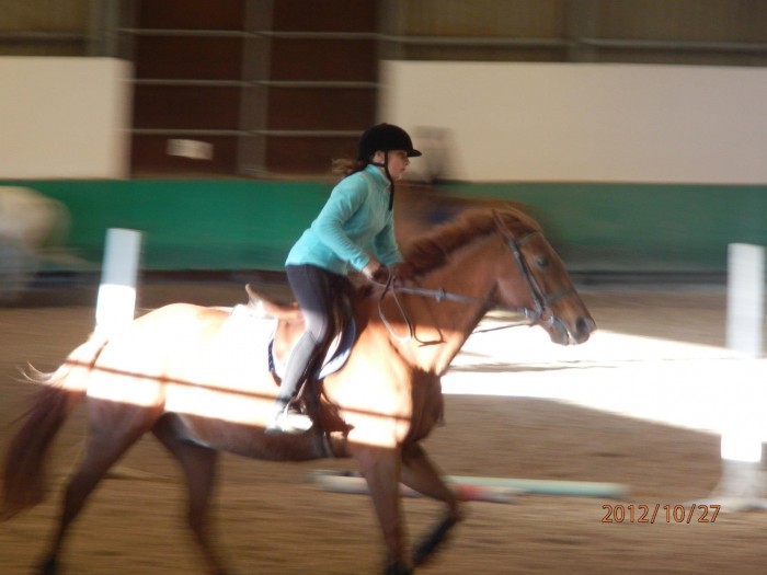 Photo de profil de passioncheval79