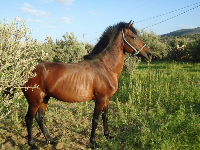 Photo de profil de ladywat