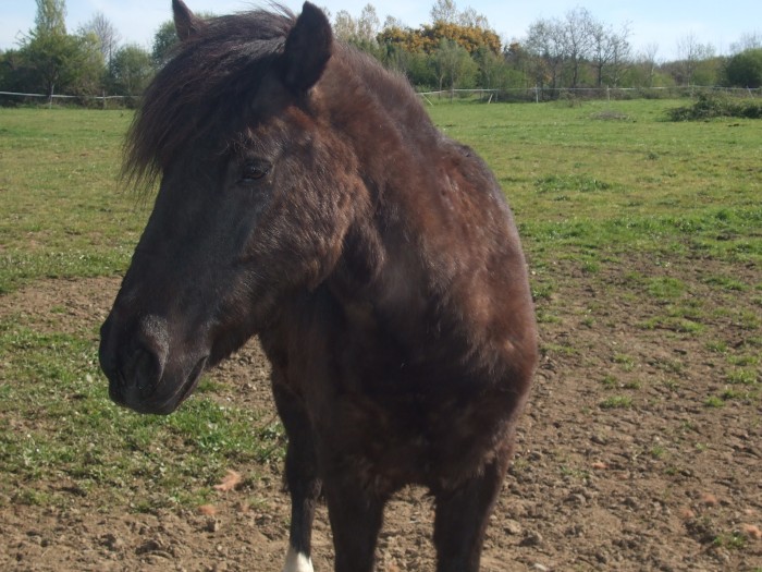 Photo de profil de mousticou