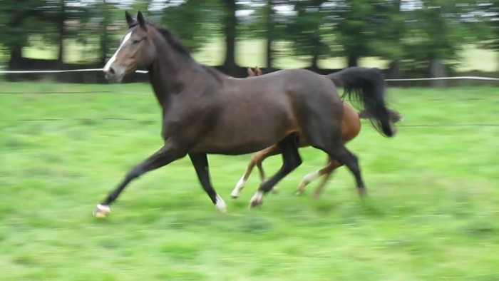 Photo de profil de milroses