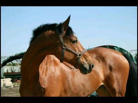 Photo de profil de quiosco