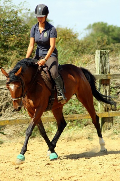Photo de profil de camille.h