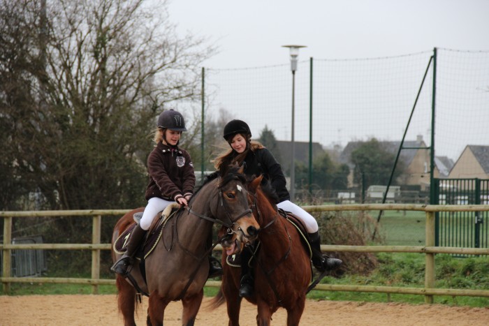 Photo de profil de newtondebelval