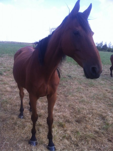 Photo de profil de chloe77370
