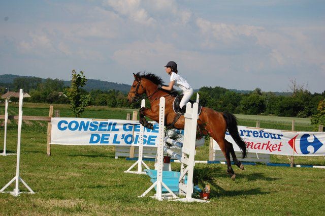 Photo de profil de pommecarotte