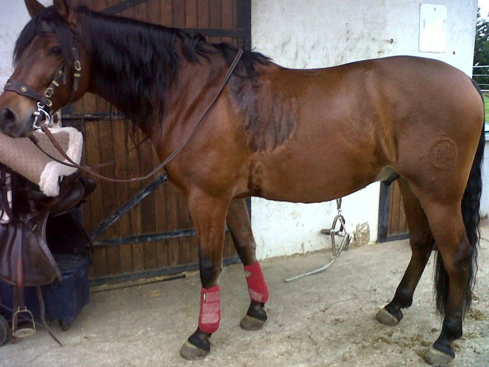 Photo de profil de fannette95