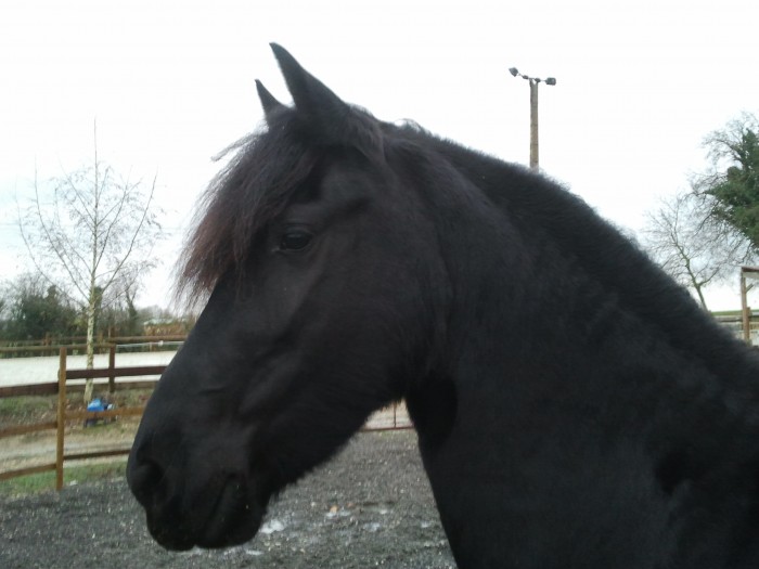 Photo de profil de shak21