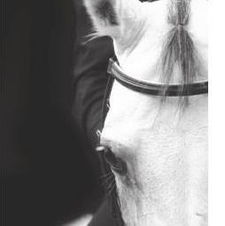 Photo de profil de auxiliacourtage