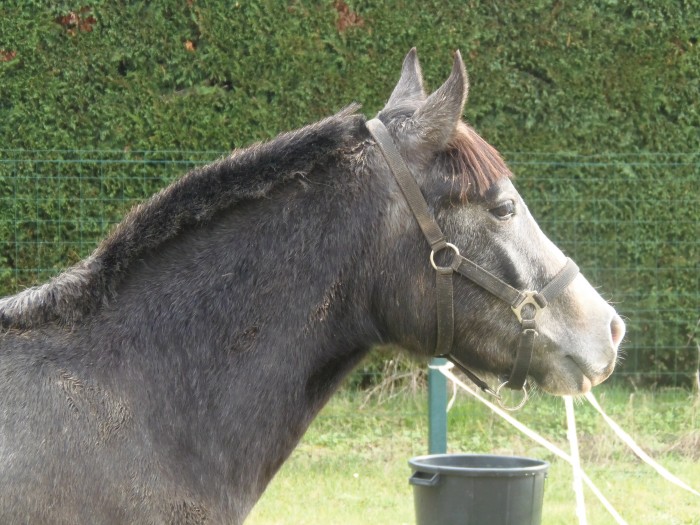 Photo de profil de jenny082440