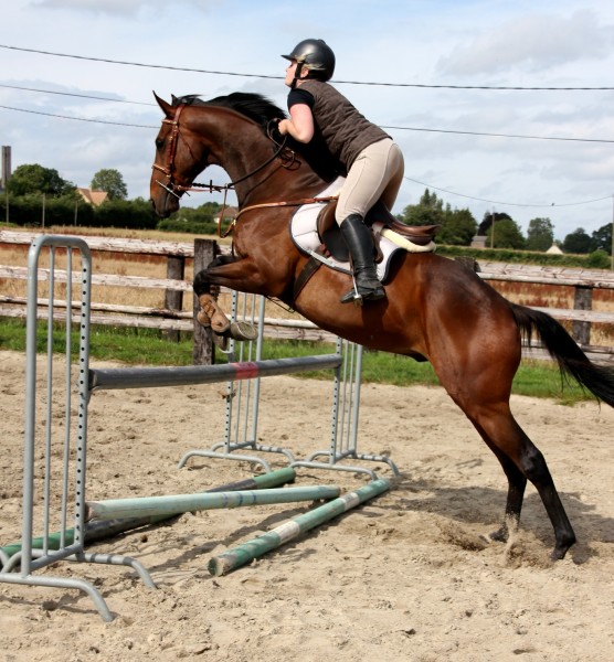 Photo de profil de graziel