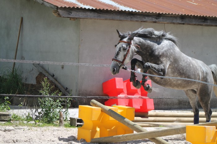 Photo de profil de tawana74