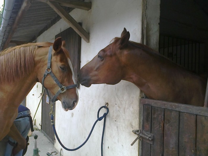 Photo de profil de alexia27