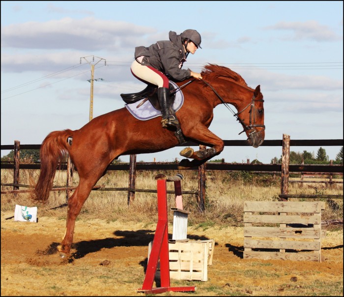 Photo de profil de alexandra28250