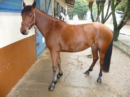 Photo de profil de pires