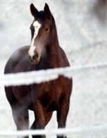 Photo de profil de charliie92