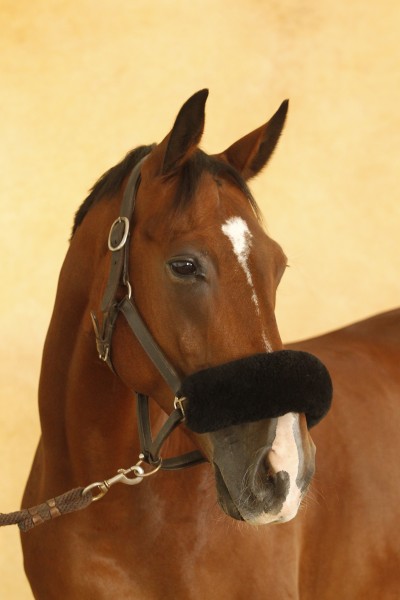 Photo de profil de neptunedecoco