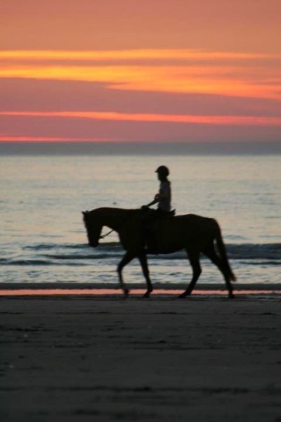 Photo de profil de equidoux