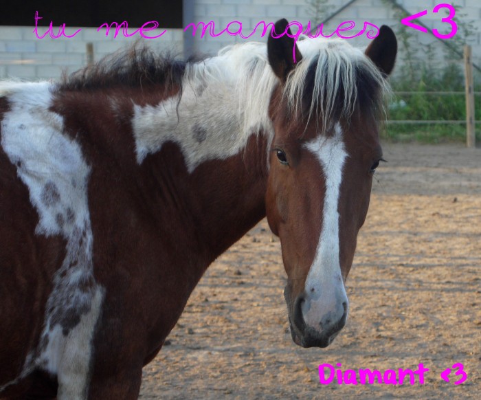 Photo de profil de clara13280