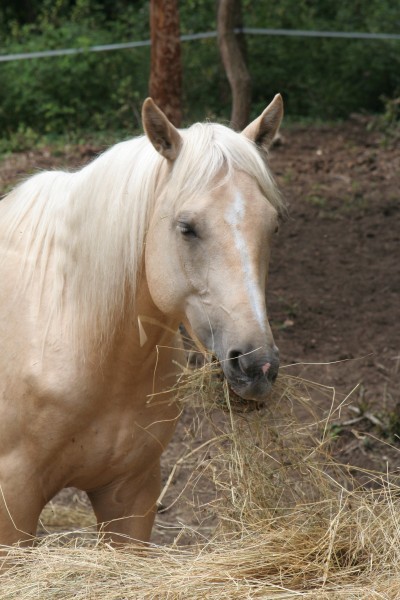 Photo de profil de melledarville