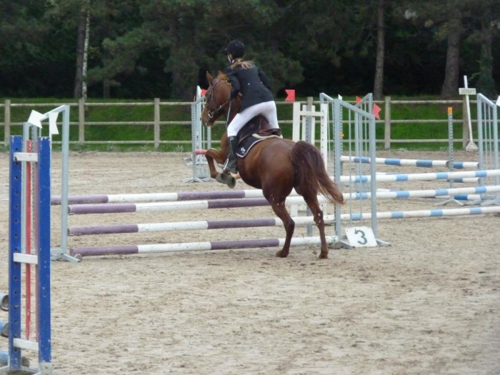 Photo de profil de reine3520