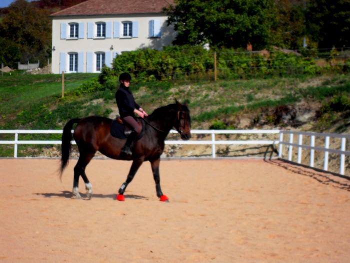 Photo de profil de cha03