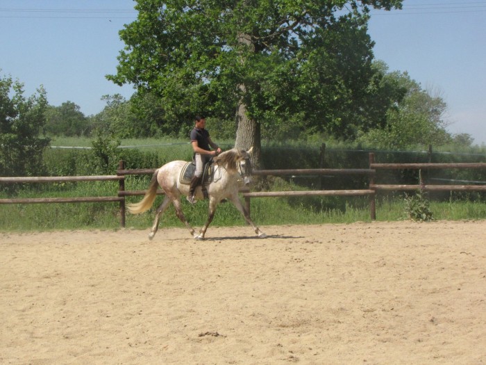 Photo de profil de moska01