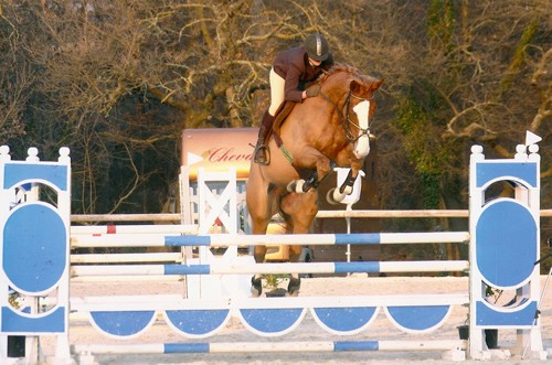 Photo de profil de berenicef