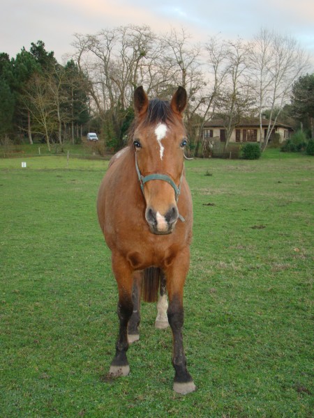 Photo de profil de alawa