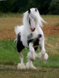 Photo de profil de labonnefee