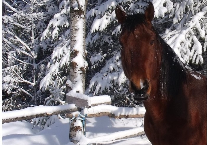 Photo de profil de loloetbuddy